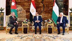 دبلوماسي سابق مصر لها دور رئيسي ومحوري في كل القمم التي تحضرها