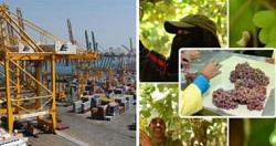 هل تنجح مصر في زيادة صادراتها إلى 100 مليار دولار؟
