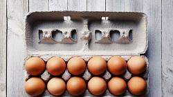 سعر طبق البيض اليوم الخميس 772022 في الاسواق المحليه
