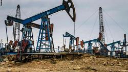 يستفيد رئيس غرفة البترول المصرية من مختلف أشكال مزادات البترول والغاز