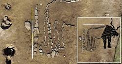 اكتشاف رسم ضخم بالحجاره لـثور فى سيبيريا عمره 4000 عام صور