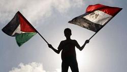 كيف تدعم مصر القضية الفلسطينية مبادرة المساعدة وإعادة الإعمار ووقف إطلاق النار