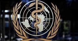 منظمة الصحة العالمية ، منشأة كوفاك ، قادرة على توفير 681 مليون جرعة لقاح لـ 144 دولة في العالم
