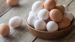 ارتفع سعر البيض البرادعي 52 رطلا
