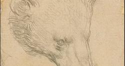 بيعت لوحة رأس الدب ليوناردو دافنشي بمبلغ قياسي بلغ 88 مليون جنيه إسترليني