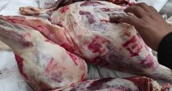 استقرار سعر اللحوم البلدى والكيلو يبدا من 130 جنيها للكيلو