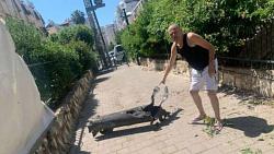 عاجل سقوط صاروخ اطلق من غزه على منزل مغني اسرائيلي بتل ابيب