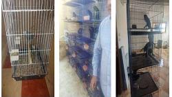 القبض على شخص يروج لبيع حيوانات وطيور مهدده بالانقراض في الاسكندريه