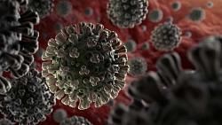 ارتفاع حالات الإصابة بفيروس كورونا العالمي COVID21 covid19 إلى 1541 مليون حالة