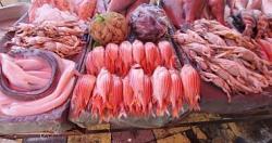 أسعار الأسماك في سوق الجملة في العبور اليوم أسماك البلطي 1737 رطل