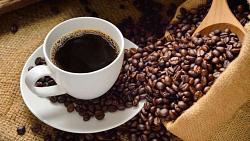 هدوء نسبي لسعر القهوه وتوقع بمزيد من الانخفاض