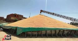 واردات القمح تانخفاض الى 789 مليون دولار في يوليو الماضي
