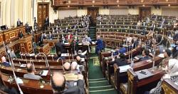 البرلمانيون المصريون حاضرون لدعم الأشقاء الفلسطينيين بقوة