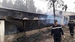 أسقطت 71 شخصا اندلع الحريق في الجزائر بعد إخماد تيزي وزو فيديو