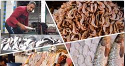 سعر الجملة للأسماك في سوق الترانزيت اليوم أسوان البلطي 1737 رطل كجم