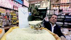 ارتفعت أسعار الأرز العالمية بعد زيادة الطلب على الأرز يستخدمونها كعلف