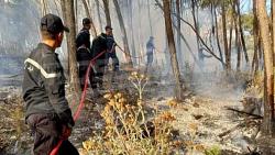 حريق هائل بالغابات في تونس