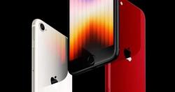 ايه الفرق؟ ابرز الاختلافات بين هاتفى iPhone SE 2022 وiPhone 13 Pro Max