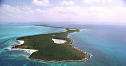 مشاهير الجزر هؤلاء من جميع أنحاء العالم ابحث عن الهدوء والابتعاد عن البيئة الملوثة