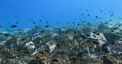 العلماء يعثرون على اثار لمواد غير ارضيه في المحيط