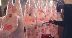 أسعار اللحوم اليوم يزن الكبد الكندي ما بين 130150 رطلاً