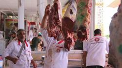 تجار عن سعر اللحوم دعم مربي الماشيه ووقف ذبح البتلو هو الحل