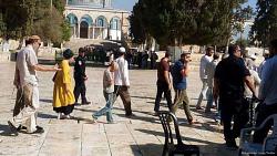 الأردن يدين انتهاكات الاحتلال الإسرائيلي للمسجد الأقصى