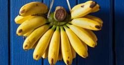 تعرف على طرق ووسائل تناول الموز لإنقاص الوزن أو زيادة الوزن