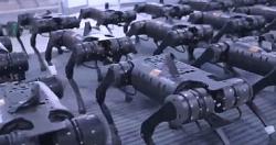 تقارير روسيا والصين تصنعان اسلحه روبوتيه مرعبه