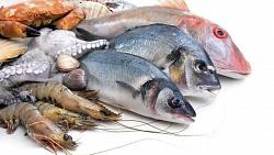 سعر السمك اليوم في سوق العبور البوري يصل لـ48 جنيها
