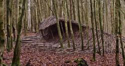 في غابات هامبورغ بألمانيا ، يشبه تسونامي تسونامي افهم قصتها