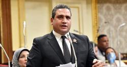 نائب بتنسيقيه الاحزاب مصر تمارس دورها الاقليمى بالمنطقه منذ 7 اعوام