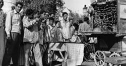 100 صوره عالميه النيشان احتفالات المولد النبوى 1966