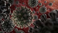 الصحة نحن نعيش في أخطر 10 أيام من فيروس كورونا COVID21 اختفت الفجوة