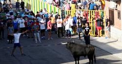اسبانيا تستضيف اول مهرجان لـ الثيران منذ بدايه جائحه كورونا COVID21 صور