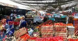 سعر الخضروات الطماطم تتراوح بين 1535 جنيه