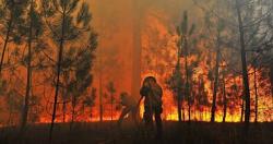 اشتعلت النيران في سردينيا بإيطاليا والسلطات تطلب المساعدة صورة فوتوغرافية