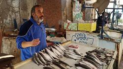 أسعار الأسماك في السوق مستقرة اليوم والبلطي 35 رطلا