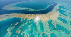 على الرغم من الأضرار ، أعلنت اليونسكو أن الحاجز المرجاني العظيم ليس على قائمة خطر الانقراض