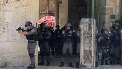 اصابه طفل فلسطيني وصحفيه خلال اقتحام قوات الاحتلال المسجد الاقصى