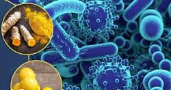 6 اغذيه تحارب البكتيريا والجراثيم بشكل طبيعى منها الزنجبيل والعسل