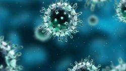 شديده العدوى 10 معلومات عن دلتا اخطر سلالات كورونا COVID21