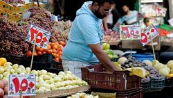 سعر الخضروات والفاكهه اليوم الاربعاء 1662021 في مصر