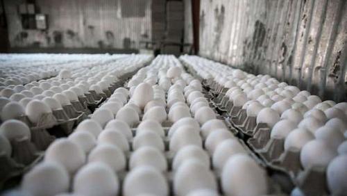 Egg prices Sunday 3052021 in Egypt