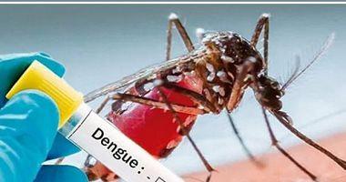 What is the fever of dengue and what is the most prominent symptoms types and complications resulting from them