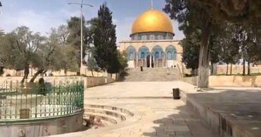 Dozens of settlers storm the AlAqsa Mosque and arrest 11 Palestinians