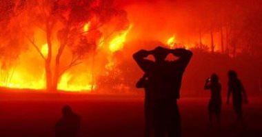 5000 hectares of trees and 19000 head of animals victim of the fire of Algeria