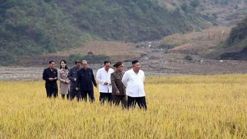 Bananas with $ 45 North Korean leader recognizes sharp food lack