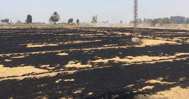 Fire devouring wheat straw with agricultural land in Ismailia video and pictures