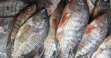 The prices of fish in the markets today is 25 pounds per kilo and core
